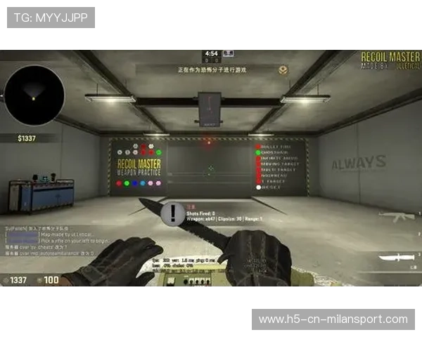 CS_GO枪法基础稳定性训练完整版指南