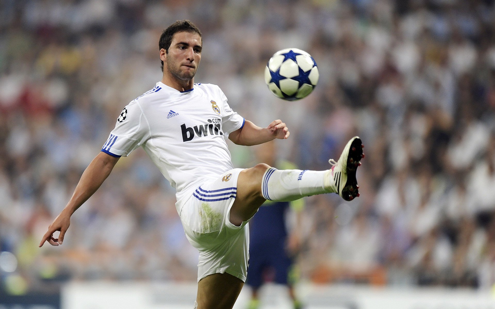 中国足球球员年度成长轨迹回顾报告，中国足球球员数据